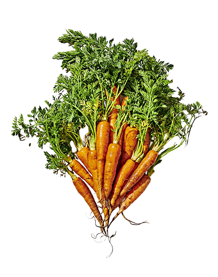 Ingredientes frescos de temporada